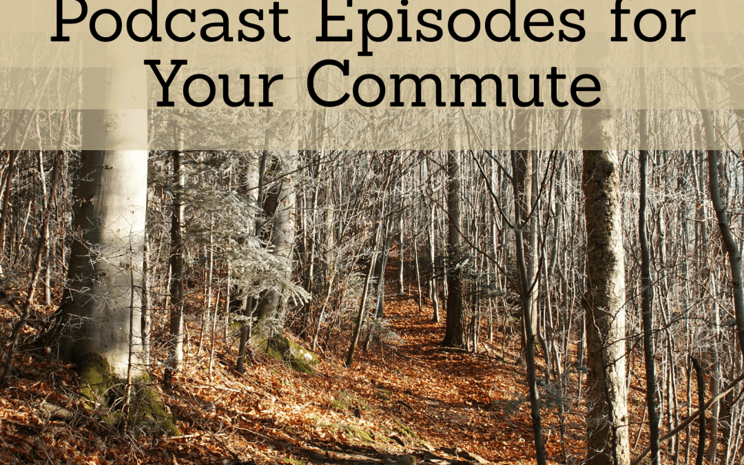 Indiana True Crime Podcast Episodes For Your Commute