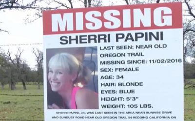 Sherri Papini Admits to Lying About Kidnapping, Arrested on Mail Fraud & Lying to Authorities